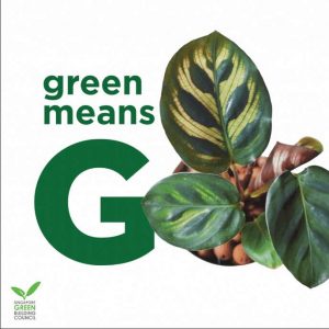 SGBC Green Means Go Campaign